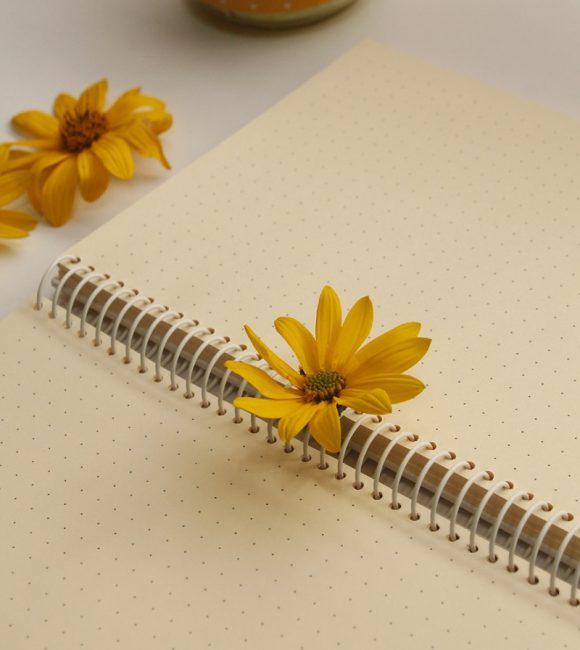 دفتر نقطه ای